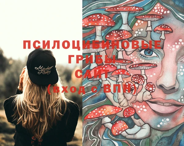 ГАЛЛЮЦИНОГЕННЫЕ ГРИБЫ Лихославль
