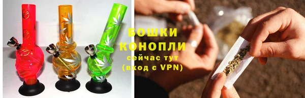 индика Липки