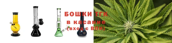 индика Липки