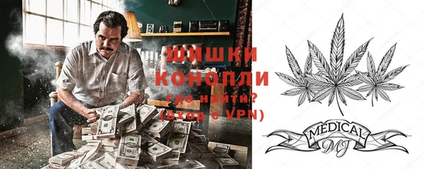 индика Липки