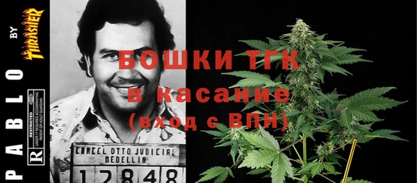 индика Липки