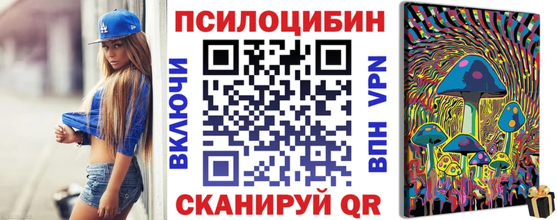Галлюциногенные грибы Psilocybe  Купить где  Нестеров 